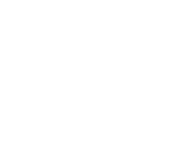Victor Linares Inv